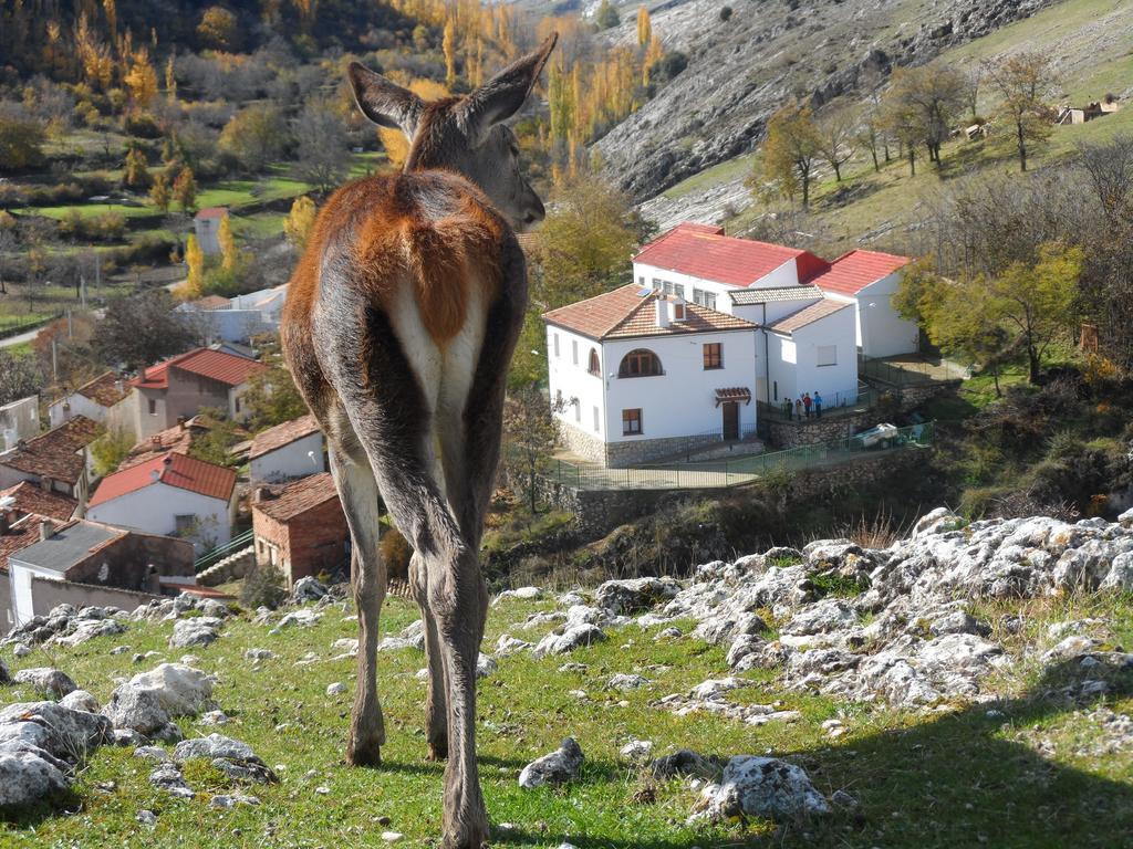 Casa Rural El Perchel 폰토네스 객실 사진
